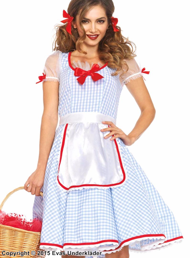 Dorothy från Trollkarlen från Oz, maskeradklänning, rutmönster